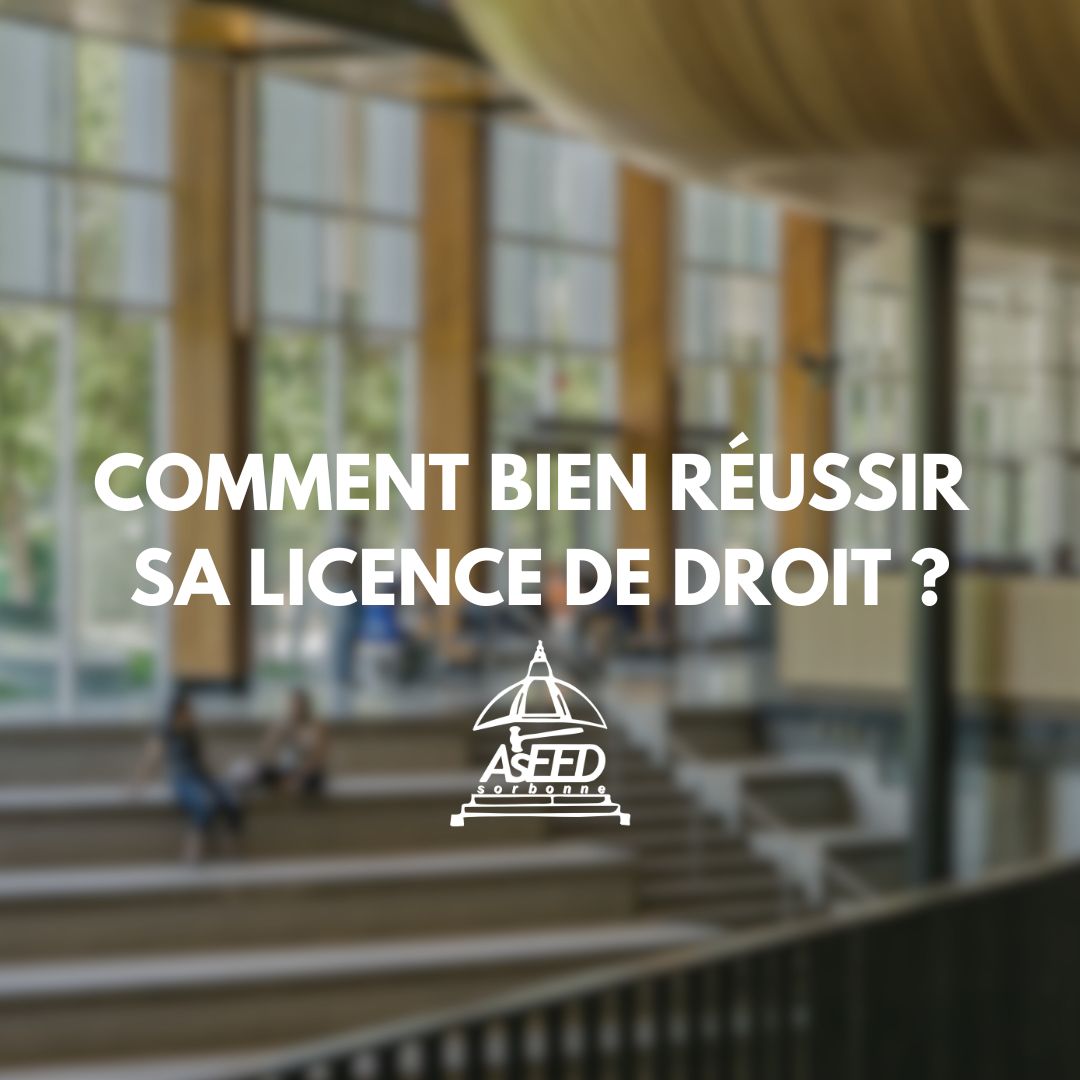 Comment bien réussir sa licence de droit ?